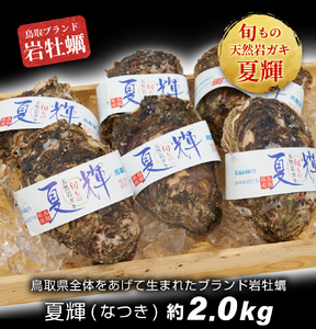 岩牡蠣「夏輝」(約2kg)