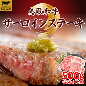 鳥取和牛サーロインステーキ250g×2