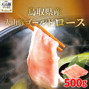 SFM-06 挧YR؃S[h[X500g