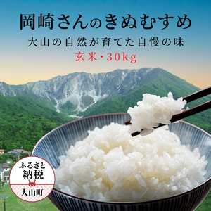 OJ-01 R̎R񂾉肳̂ʂނ30kgyāz