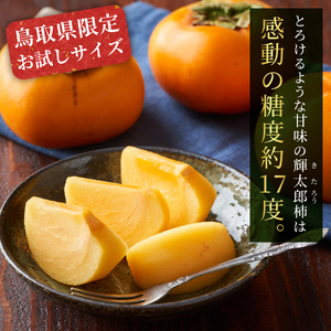 大きくて甘い柿「輝太郎(きたろう)」(3kg)