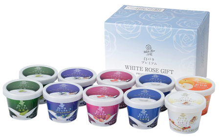 MS-74@RƂ̃ACXN[lߍ킹unՁvi10j