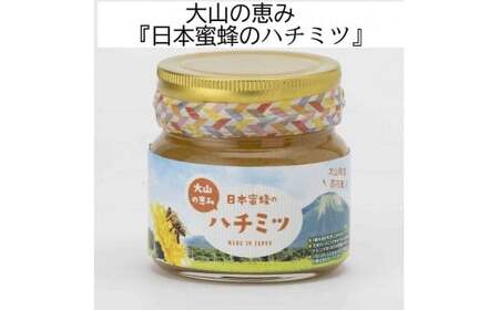 大山町産プレミアムはちみつ「日本蜜蜂のはちみつ」(290g×1本)