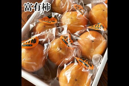 鳥取県産富有柿 3kg相当 [出荷:12月・1月・2月]