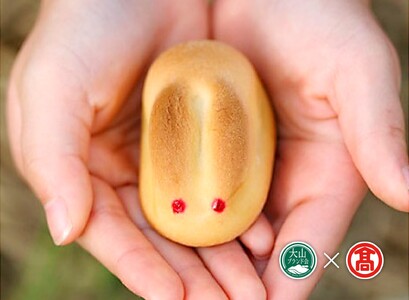 DD1[寿製菓]白うさぎの玉手箱(大山ブランド会)