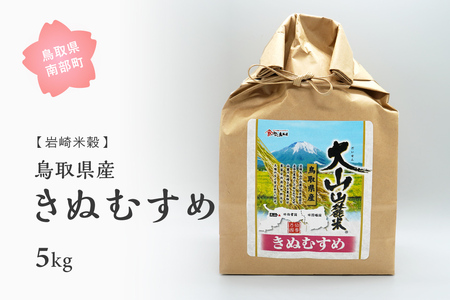 鳥取県産きぬむすめ5kg 新米 令和6年産 5キロ 米 お米 おこめ こめ コメ 白米 精米 玄米 岩崎米穀