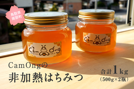 CamOngの非加熱はちみつ 合計1kg(500g×2瓶) ハチミツ 蜂蜜