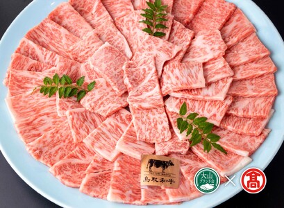 CE7[皆生菊乃家]鳥取和牛 A4ランク以上 サーロイン焼肉用(大山ブランド会)