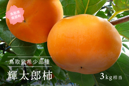 輝太郎 [柿]（3kg箱）2026年10月出荷予定 ＜数量限定＞【先行予約】