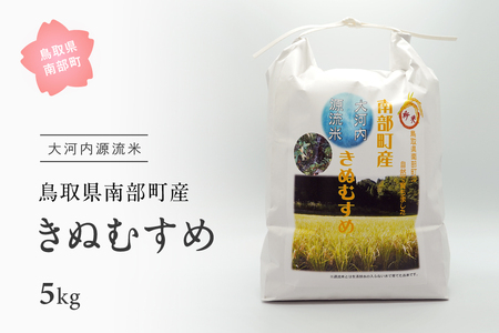 南部町産 大河内源流米 きぬむすめ(5kg)[令和6年産収穫分予約]