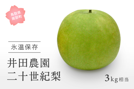 鳥取県南部町産 井田農園の二十世紀梨(3kg箱)8月下旬から随時出荷予定