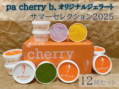 [7月・8月限定出荷]pa cherry b.サマーセレクション2025(12種12個セット) オリジナルジェラート,大山プレミアムミルク,アマレーナ,ブルーベリーヨーグルト,煎茶ソルベ,季節のソルベ,ラムレーズン,チョコレート,抹茶,黒ゴマ,珈琲,ピスタチオ 鳥取県南部町 [PB05]