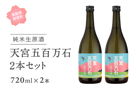 稲田姫 天宮純米原酒2本セット 720ml×2