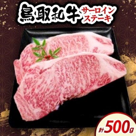 鳥取和牛サーロインステーキ 500g (2枚入)[配送不可地域:離島・北海道・沖縄県・東北・信越、北陸]