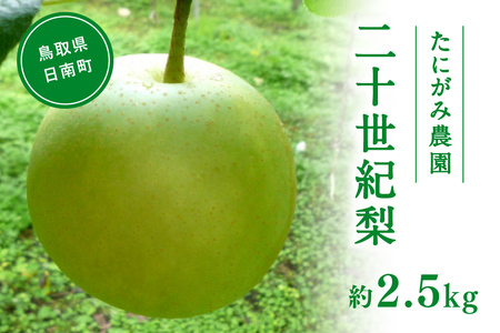 【先行予約】たにがみ農園 二十世紀梨 2.5kg(5～9玉) 梨 なし フルーツ 果物 くだもの 鳥取県 佐治 梨 なし ナシ