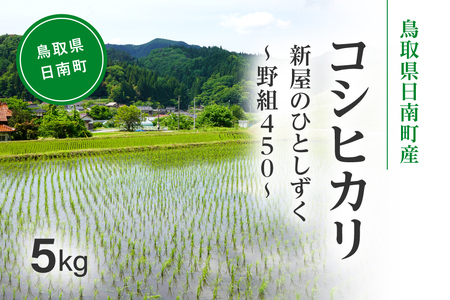 令和7年産 新米 先行予約 鳥取県日南町産コシヒカリ 5kg 新屋のひとしずく 〜野組450〜 米 お米 おこめ 精米 こしひかり