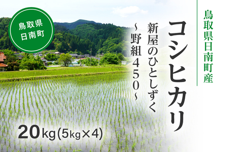 ߘa7NY V s\ 挧쒬YRVqJ 20kg(5kg×4) V̂ЂƂ `g450`     Ђ