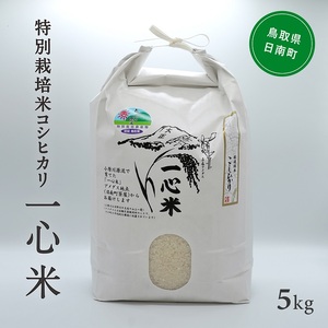 yVāE\zߘa7NY St@[ ʍ͔| RVqJ 5kg    挧쒬 Ђ ʍ͔|
