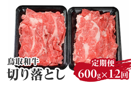  a ؂藎Ƃ 600g×12 v7.2kg HN51 y܂̂z