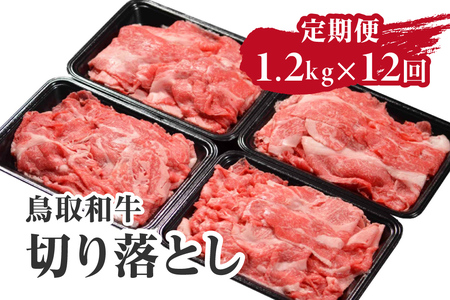  a ؂藎Ƃ 1.2kg×12 v14.4kg HN54 y܂̂z