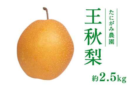 y11{ȍ~zɂݔ_ H 2.5kg (3ʁ`7)  Ȃ t[c ʕ  挧   Ȃ iV