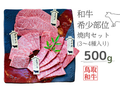 a󏭕ʏēZbg v500g 3`4 挧Y nt@[R] MK1 0992