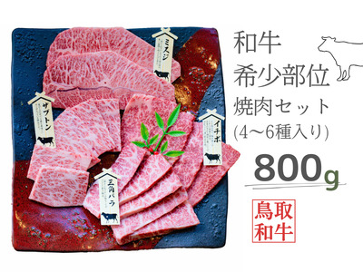a󏭕ʏēZbg v800g 4`6 挧Y nt@[R] MK2 0993