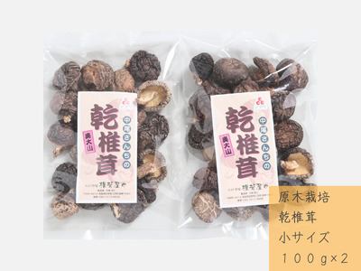 񂿂̊ő  100g 2 ؍͔| VC^P / SAC ő 0797