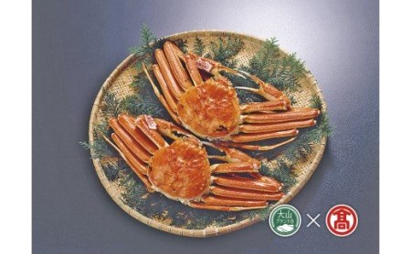 Z^[݂⁄tɖP×Qi{CjiRuhj Ďq 180-AT11 0314