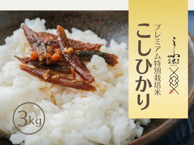 令和7年産 奥大山江府米コシヒカリ 3kg プレミアム特別栽培 こしひかり 精米 3キロ 0624