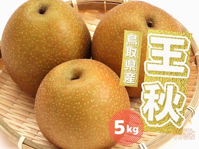 王秋 梨 5kg 5~16玉前後 鳥取県産 先行予約受付 2024年秋冬収穫分 なし5キロ TM34 0690