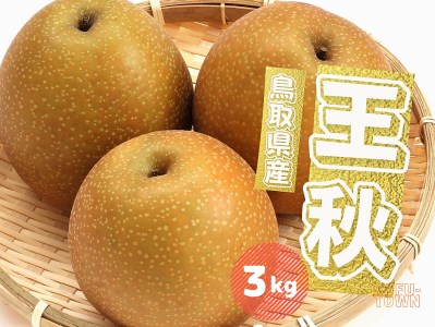 H  3kg 3~8ʑO 挧Y s\t 2025NH~n Ȃ 3L TM46 0697
