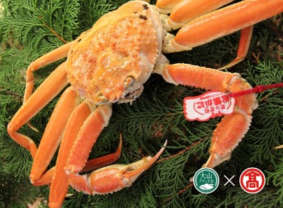 䥂ŏtɖ750g×1iRuhjJj I Ďq 92-BI2 0895