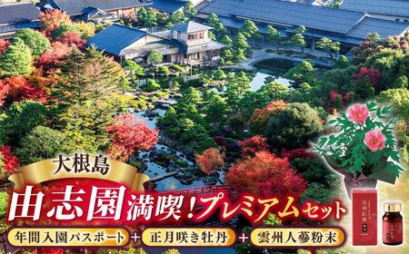 日本庭園由志園 由志園年間入園パスポート(スイート)+正月咲き牡丹(2輪咲き)+雲州人蔘粉末日本庭園由志園 島根県松江市/株式会社JU米子髙島屋[ALFD010]