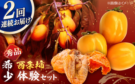 [先行予約][全2回定期便]柿の体験セット! 合わせ柿6玉 つるし柿セット5kg 島根県松江市/マルカミ農縁株式会社 [ALCM016] 柿 定期便