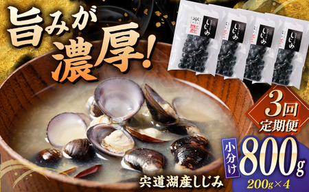 [全3回定期便]宍道湖産 「しじみ」 200g×4 島根県松江市/有限会社ヤマヲ水産[ALDB021]