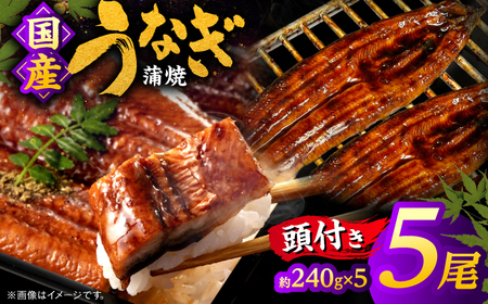 国産うなぎの蒲焼×5尾（頭付き）鰻 ウナギ かば焼き 島根県松江市/うなぎの源内[ALHE003] うなぎ 蒲焼