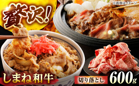 ܂˘a؂藎Ƃ 600g ]s/Ђꂢt[Y[ALFR007]