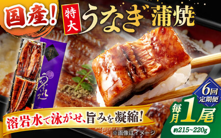 【6回定期便】うなぎ老舗専門店のパリっとふっくら国産うなぎ 蒲焼1尾(蒲焼のタレ付き) 島根県松江市/株式会社山美世商会[ALDC008]