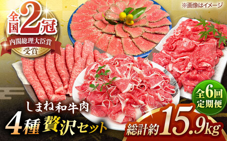 【全6回定期便】その旨味、最上級！「しまね和牛肉」4種贅沢セット 島根県松江市/有限会社おき精肉店[ALFT086]