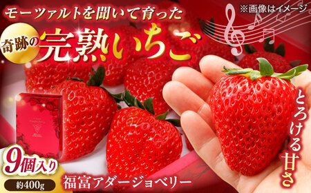 [数量限定20セット]苺 松江市「のつ農園」完熟いちご「福富アダージョベリー」9個入り 山陰中央テレビジョン放送株式会社[ALFI002]