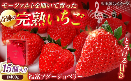 [数量限定100セット]島根県松江市「のつ農園」 完熟いちご「福富アダージョベリー」 15個入り 島根県松江市/山陰中央テレビジョン放送株式会社[ALFI004]