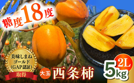 [数量限定10個][秋限定!先行予約/10月上旬より順次発送]美味しまねゴールド認証取得! 松江市産 西条柿 合わせ柿 大玉2L 5kg 島根県松江市/mishiro farm[ALIJ005]