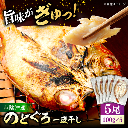 山陰沖産のどぐろ一夜干し100g以上×5 島根県松江市/平野缶詰有限会社[ALBZ062]