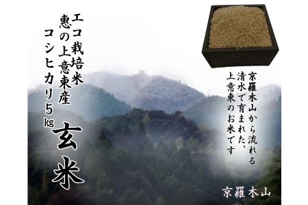 五ツ星お米マイスター厳選[玄米]エコ栽培米 恵の上意東産「コシヒカリ」5kg 071-01