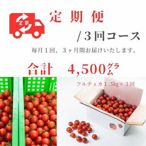 [定期便/全3回] 島根県産 海辺のトマトバラ 1.5kg (11〜3月限定) 041-07