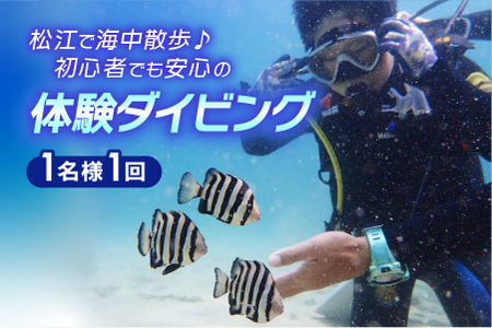 松江で海中散歩♪初心者でも安心の体験ダイビングプラン 144-01