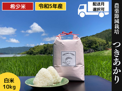 玄米 残留農薬不検出の返礼品 検索結果 | ふるさと納税サイト「ふるなび」