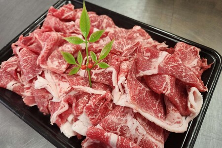 島根和牛切り落とし500g 国産 肉 切り落とし 切り落とし肉 和牛 牛肉 [1902]