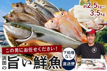 この男に任せてみませんか〜浜田の旨い鮮魚直送便(下処理なし)〜 海鮮 鮮魚 詰め合わせ セット おまかせ 旬 直送便 人気 お取り寄せ [1952]